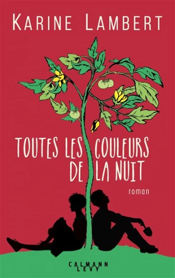 Toutes les couleurs de la nuit - Karine Lambert [Livres]