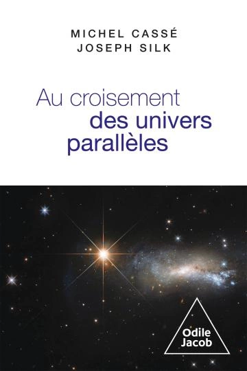 Au croisement des univers parallèles Michel Cassé, Joseph Silk  [Livres]