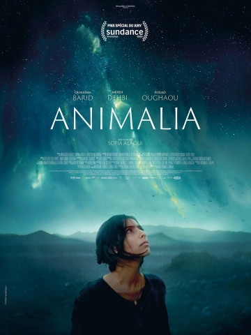 Animalia [HDRIP] - VOSTFR