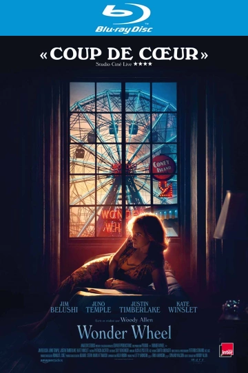 Wonder Wheel [HDLIGHT 1080p] - MULTI (FRENCH)