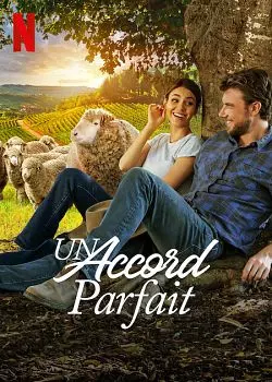 Un accord parfait [WEB-DL 720p] - FRENCH