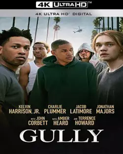 Gully  [WEB-DL 4K] - MULTI (FRENCH)