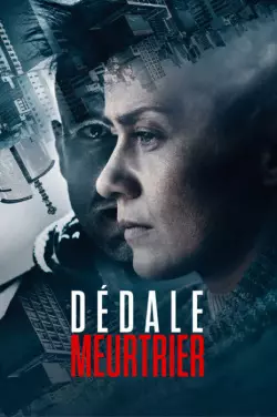 Dédale meurtrier [WEB-DL 1080p] - MULTI (FRENCH)