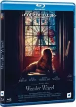 Wonder Wheel  [BLU-RAY 1080p] - FRENCH