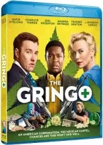 Gringo [HDLIGHT 720p] - MULTI (TRUEFRENCH)