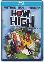 How High [HDLIGHT 1080p] - MULTI (TRUEFRENCH)