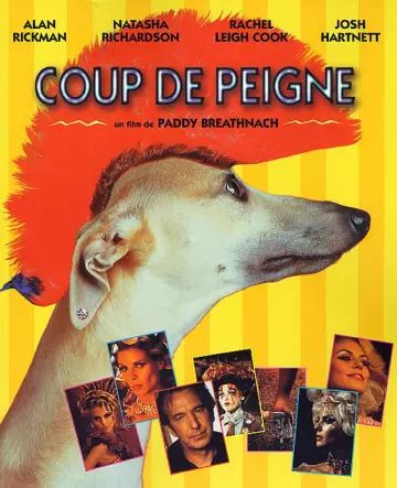 Coup de peigne  [DVDRIP] - FRENCH