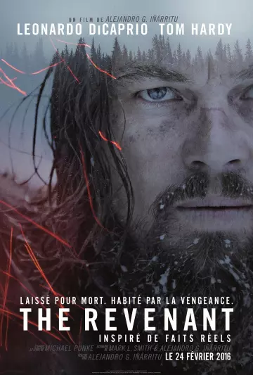 The Revenant [HDLIGHT 1080p] - MULTI (TRUEFRENCH)