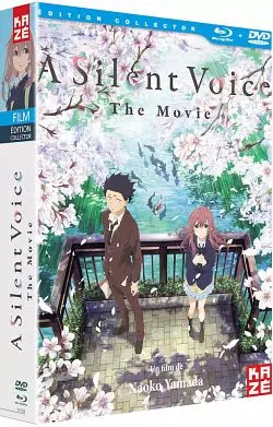 Silent Voice [HDLIGHT 1080p] - MULTI (FRENCH)