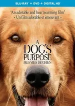 Mes vies de chien [WEB-DL 720p] - FRENCH