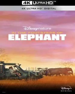 Sur la route des éléphants [WEB-DL 4K] - MULTI (FRENCH)