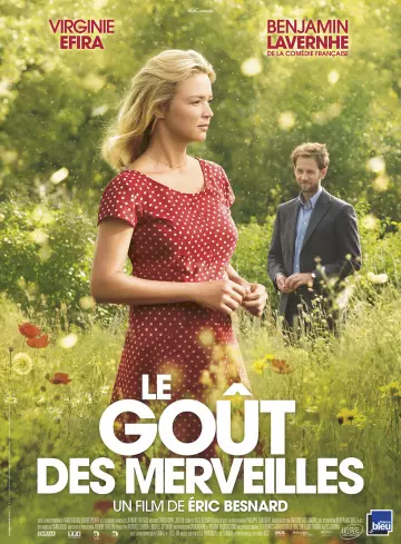 Le goût des merveilles [BDRIP] - FRENCH