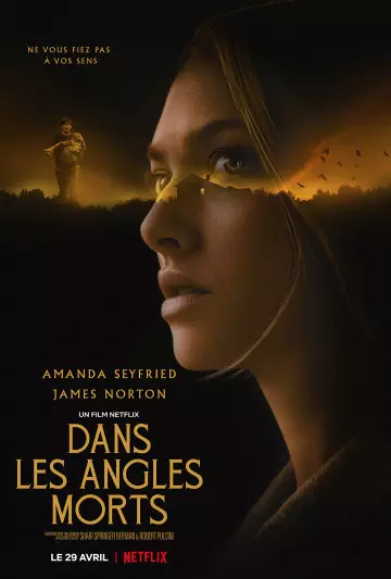 Dans les angles morts  [WEB-DL 720p] - FRENCH