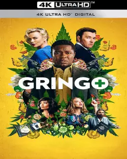 Gringo  [WEB-DL 4K] - MULTI (TRUEFRENCH)