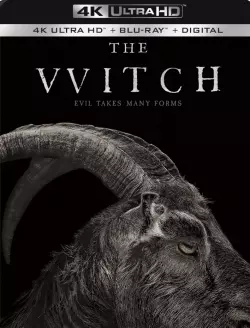 The Witch [BLURAY REMUX 4K] - MULTI (TRUEFRENCH)