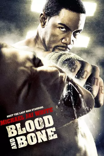 Blood and Bone [DVDRIP] - TRUEFRENCH