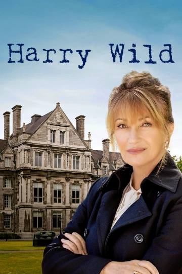 Harry Wild - Saison 3 - VF