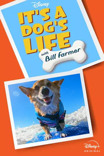 It's A Dog's Life - Saison 1 - vostfr-hq