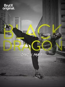 Gang de Paris : Black Dragon - Saison 1 - vf