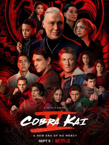 Cobra Kai - Saison 5 - VOSTFR