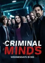 Esprits criminels - Saison 13 - vf