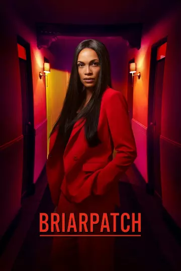 Briarpatch - Saison 1 - vostfr